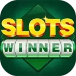Slots Winner