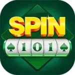 Spin 101